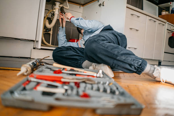 Best Clogged Drain Plumber  in Newberry, MI