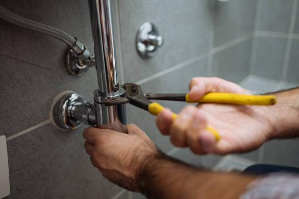 Best Drain Cleaning Services  in Newberry, MI