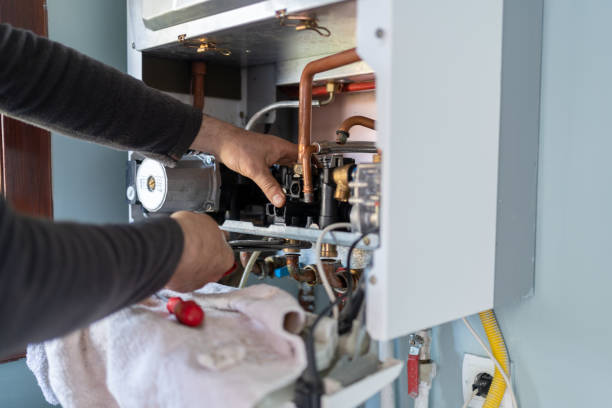 Best Plumbing Inspection Services  in Newberry, MI