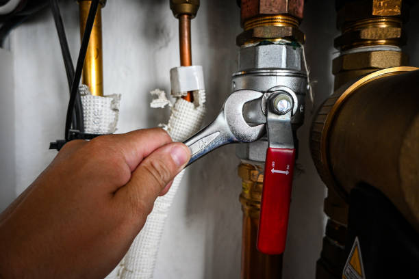 Best Best Plumbers Near Me  in Newberry, MI